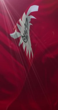 Almanya 'nın kuzeyinde Schleswig-Holstein eyâletinde, Kiel ilinin bayrağı. Döngü. 4K Dikey