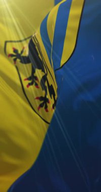 Almanya 'nın Saksonya eyaletinde yer alan Leipzig kentinin bayrağı. Döngü, 4K Dikey