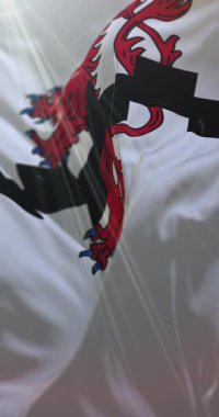 Kuzey Ren Vestfalya, Almanya 'da Leverkusen bayrağı. Döngü. 4K Dikey