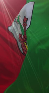 Almanya 'nın Saksonya Anhalt eyaletinde Magdeburg bayrağı. Döngü, 4K Dikey