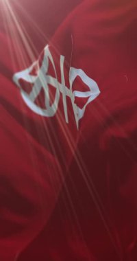 Almanya 'nın Rhineland Palatinate eyaletinde Mainz bayrağı. Döngü. 4K Dikey