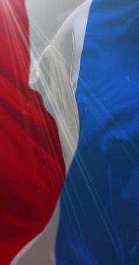 Almanya 'nın Baden-Wrttemberg eyaletinde yer alan Mannheim bayrağı. Döngü. 4K Dikey