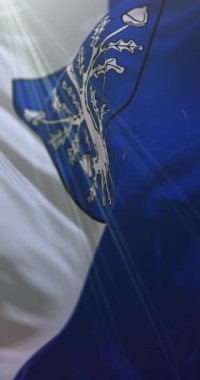 Offenbach am Main bayrağı Almanya 'nın Hesse eyaletinde yer almaktadır. Döngü. 4K Dikey