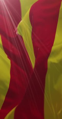 Almanya 'nın Aşağı Saksonya eyaletinde Oldenburg bayrağı. Döngü. 4K Dikey