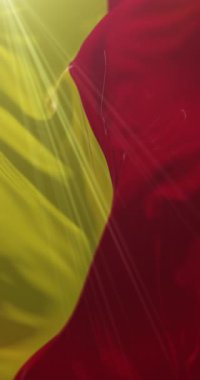 Almanya 'nın Kuzey Ren-Vestfalya eyaletinde Paderborn bayrağı. Döngü. 4K Dikey