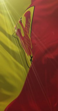 Potsdam bayrağı, Brandenburg, Almanya. Döngü. 4K Dikey