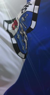 Saarland, Almanya 'da Saarbrcken bayrağı. Döngü. 4K Dikey