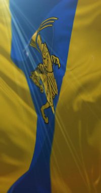 Almanya 'nın Mecklenburg-Vorpommern eyaletinde Schwerin bayrağı. Döngü. 4K Dikey