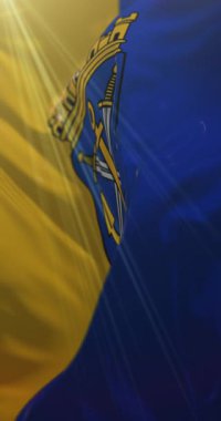 Almanya 'nın Kuzey Ren-Vestfalya eyaletinde Solingen bayrağı. Döngü. 4K Dikey