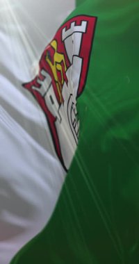 Almanya 'nın Aşağı Saksonya eyaletinde Wolfsburg bayrağı. Döngü. 4K Dikey