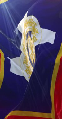 Atina bayrağı, Yunanistan 'ın başkenti. Döngü. 4K Dikey