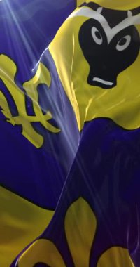 Antananarivo bayrağı, Madagaskar 'ın başkenti, Loop. 4K Dikey