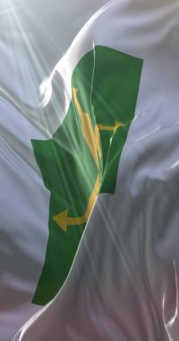 Braslia bayrağı, Brezilya 'nın başkenti. Döngü. 4K Dikey