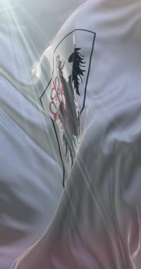 Buenos Aires bayrağı, Arjantin 'in başkenti. Döngü. 4K Dikey