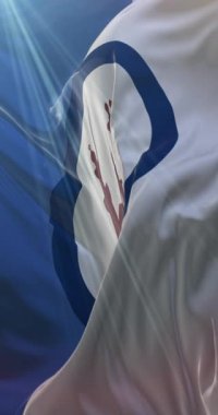 Kahire bayrağı, Mısır 'ın başkenti. Döngü. 4K Dikey