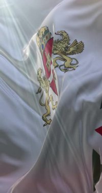 Budapeşte bayrağı, Macaristan 'ın başkenti. Döngü. 4K Dikey