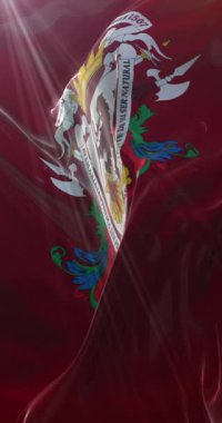 Caracas bayrağı, Venezuela. 4K dikey. Döngü