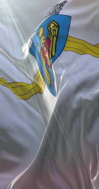 Chisinau bayrağı, Moldova Cumhuriyeti 'nin başkenti. Döngü. 4K Dikey