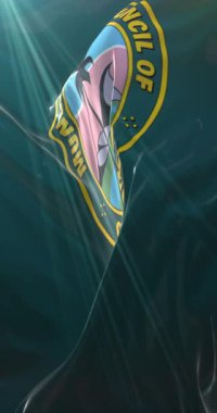 Sri Lanka 'nın başkenti Colombo' nun bayrağı. 4K dikey. Döngü