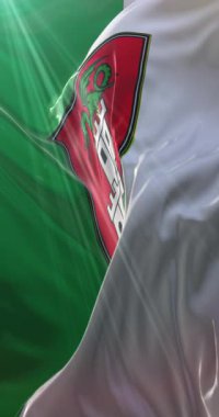 Slovenya 'nın başkenti Ljubljana bayrağı. Döngü. 4K Dikey