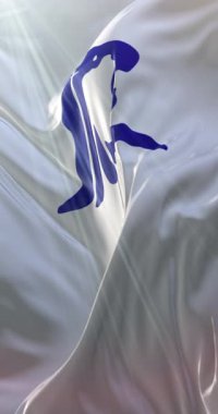 Belçika 'nın Lüksemburg, Wallonia, Belçika bayrağı. Döngü. 4K Dikey