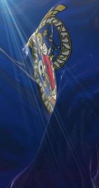 Oslo bayrağı, Norveç 'in başkenti. Döngü. 4K Dikey