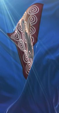 Priştine bayrağı, Kosova 'nın başkenti, Loop. 4K Dikey