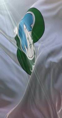 Riyad bayrağı, Suudi Arabistan 'ın başkenti, Loop. 4K Dikey