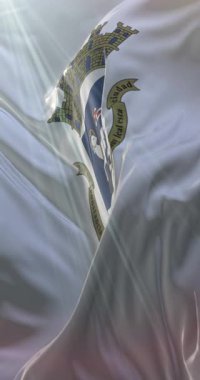 San Juan Eyaleti Bayrağı, Arjantin. 4K dikey. Döngü