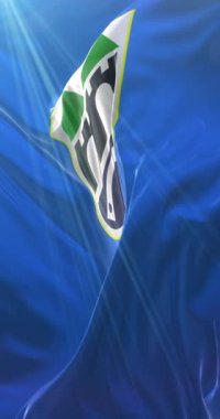 Saraybosna bayrağı, Bosna-Hersek 'in başkenti, Loop. 4K Dikey