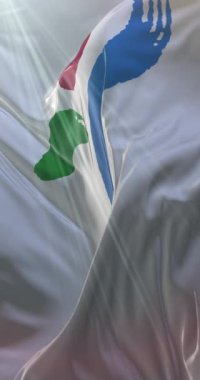 Seul bayrağı, Güney Kore 'nin başkenti, Loop. 4K Dikey