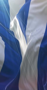 Tallinn bayrağı, Estonya 'nın başkenti, Loop. 4K Dikey