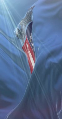 Tiran bayrağı, Arnavutluk 'un başkenti. Döngü. 4K Dikey