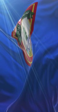 Tunus bayrağı, Tunus 'un başkenti, Loop. 4K Dikey