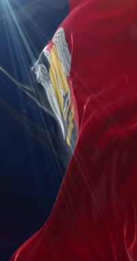 Valparaiso Bölgesi Bayrağı, Şili. Döngü. 4K Dikey