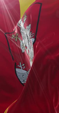 Vilnius bayrağı, Litvanya 'nın başkenti, Loop. 4K Dikey