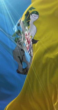 Gambiya, Banjul bayrağı. 4K dikey. Döngü