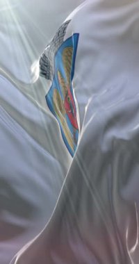 Romanya 'nın başkenti Bükreş bayrağı. Döngü. 4K Dikey