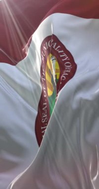 Hagatna bayrağı, Guam. 4K dikey. Döngü