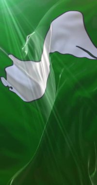 Hargeisa bayrağı, Somaliland 'ın başkenti. Döngü. 4K Dikey