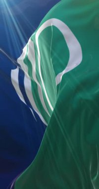 Kanada 'nın Ontario şehrinin başkenti Ottawa bayrağı. Döngü. 4K Dikey