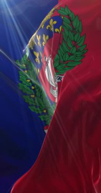 Fransa 'nın başkenti Paris' in bayrağı. Döngü. 4K Dikey