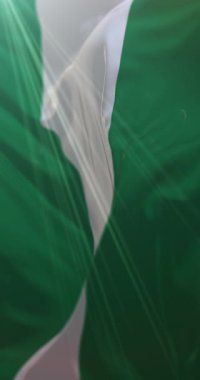 Nijerya bayrağı, döngü. 4K Dikey