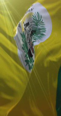 Belmopan bayrağı, Belize 'nin başkenti, Loop. 4K Dikey