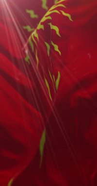 Oriflamme bayrağı. 4K dikey. Döngü