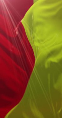 Fransa 'nın Grenoble şehrinin bayrağı. Döngü. 4K Dikey