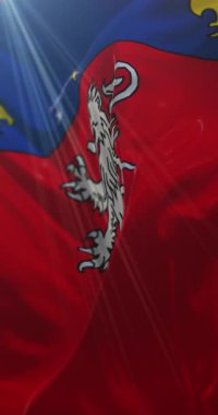 Fransa 'nın Lyon şehrinin bayrağı. Döngü. 4K Dikey