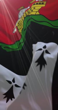 Fransa 'nın Nantes şehrinin bayrağı. Döngü. 4K Dikey