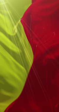 Fransa 'nın Orlans ilinin bayrağı. Döngü. 4K Dikey