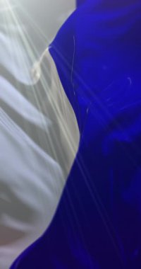 Reims şehrinin bayrağı, Fransa. Döngü. 4K Dikey